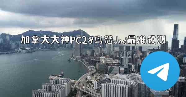 加拿大大神PC28鸟怒Jnd最准预测