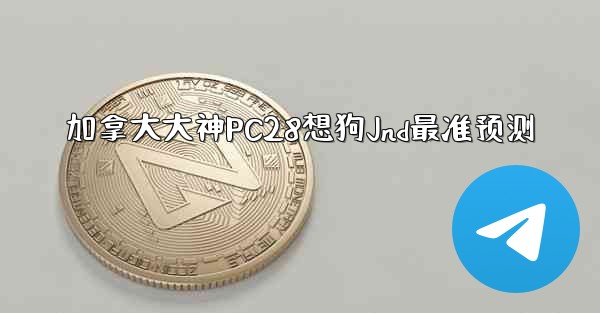 加拿大大神PC28想狗Jnd最准预测