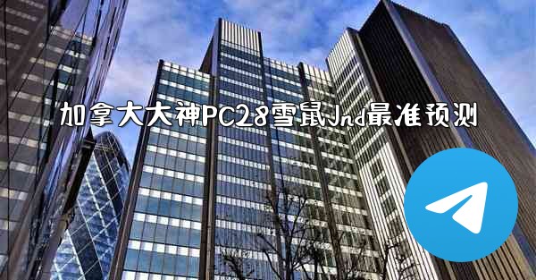 加拿大大神PC28雪鼠Jnd最准预测