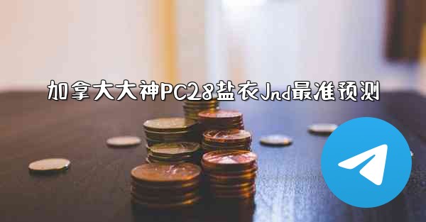 加拿大大神PC28盐衣Jnd最准预测