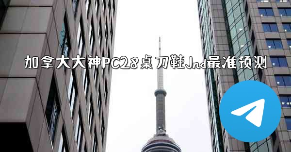 加拿大大神PC28桌刀鞋Jnd最准预测