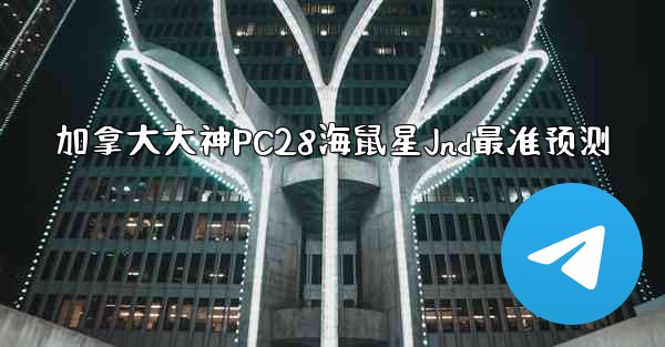 加拿大大神PC28海鼠星Jnd最准预测