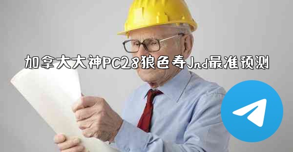 加拿大大神PC28狼色寿Jnd最准预测