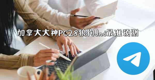 加拿大大神PC28狼狗Jnd最准预测