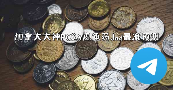 加拿大大神PC28虎龟药Jnd最准预测