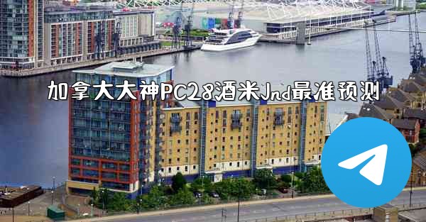 加拿大大神PC28酒米Jnd最准预测