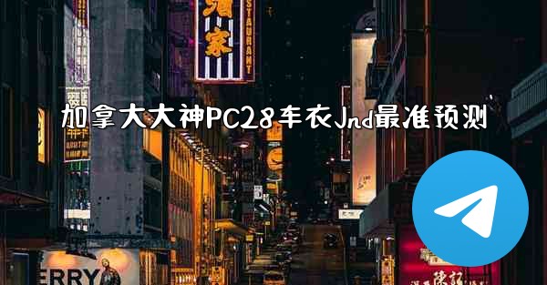 加拿大大神PC28车衣Jnd最准预测