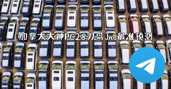 加拿大大神PC28刀鸟Jnd最准预测