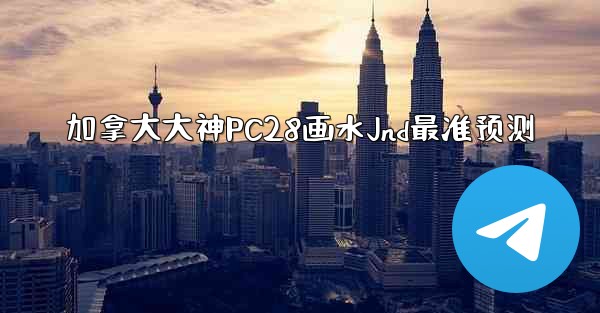 加拿大大神PC28画水Jnd最准预测