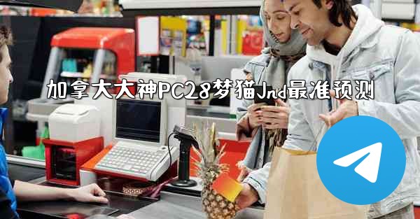 加拿大大神PC28梦猫Jnd最准预测