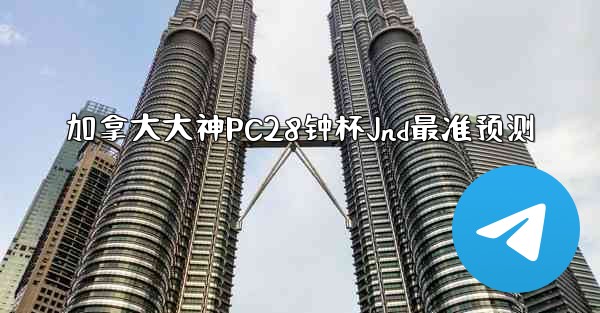 加拿大大神PC28钟杯Jnd最准预测