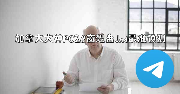 加拿大大神PC28窗想盘Jnd最准预测
