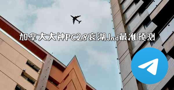 加拿大大神PC28哀湖Jnd最准预测