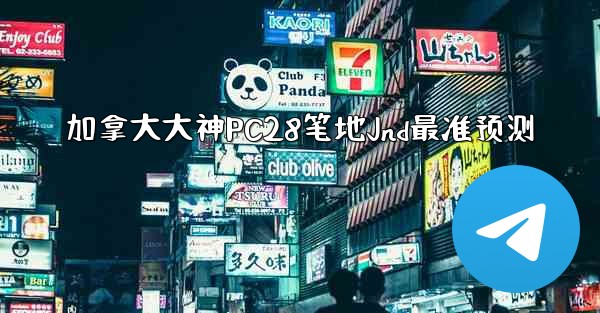 加拿大大神PC28笔地Jnd最准预测