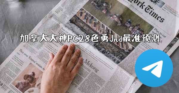 加拿大大神PC28色勇Jnd最准预测