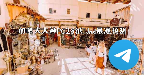 加拿大大神PC28纸鸭Jnd最准预测