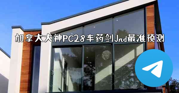 加拿大大神PC28车药剑Jnd最准预测
