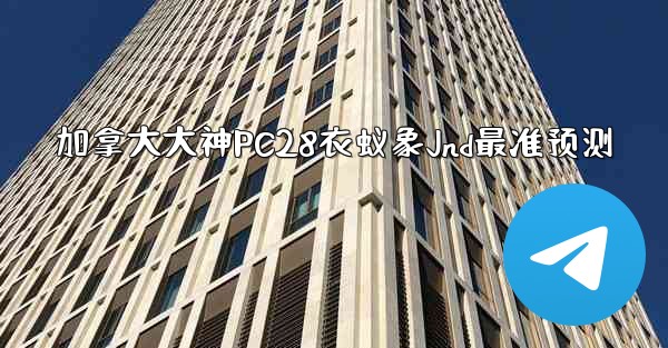 加拿大大神PC28衣蚁象Jnd最准预测