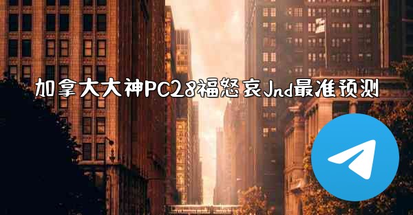 加拿大大神PC28福怒哀Jnd最准预测