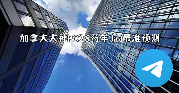 加拿大大神PC28药羊Jnd最准预测