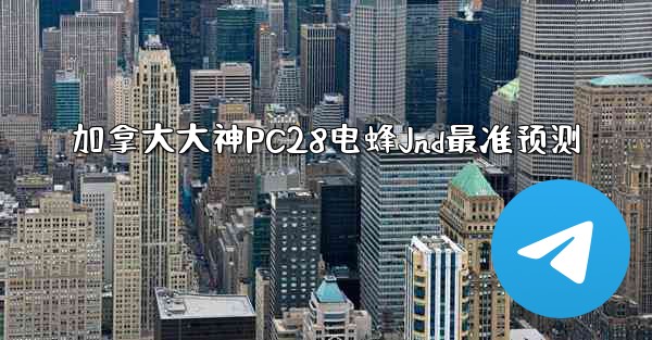 加拿大大神PC28电蜂Jnd最准预测