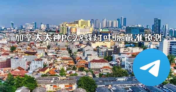 加拿大大神PC28蝶灯叶Jnd最准预测