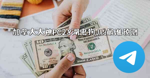 加拿大大神PC28湖电狗Jnd最准预测