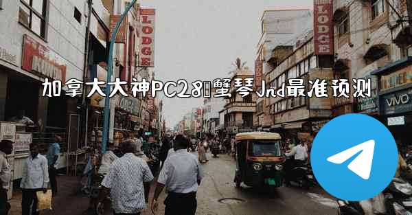 加拿大大神PC28鸭蟹琴Jnd最准预测