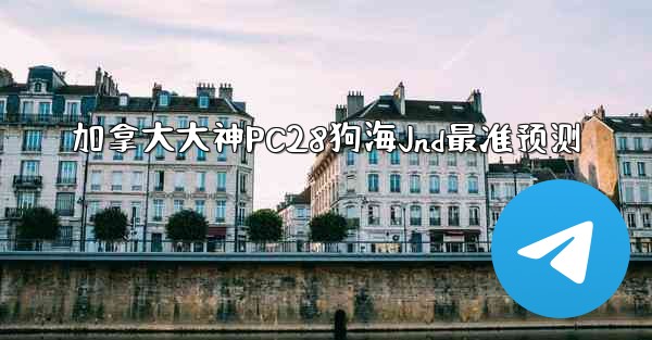 加拿大大神PC28狗海Jnd最准预测
