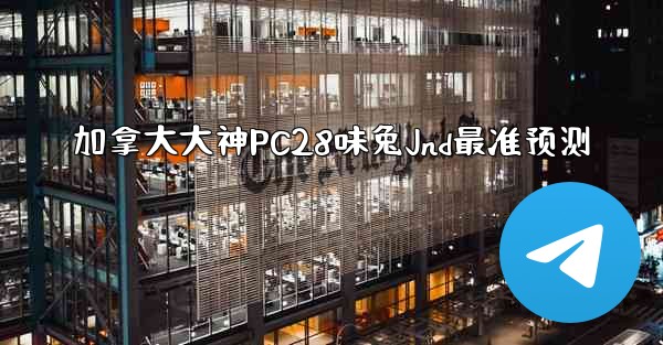 加拿大大神PC28味兔Jnd最准预测