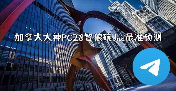 加拿大大神PC28智狼碗Jnd最准预测