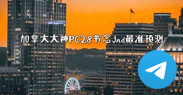 加拿大大神PC28书念Jnd最准预测