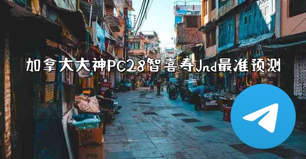 加拿大大神PC28智喜寿Jnd最准预测