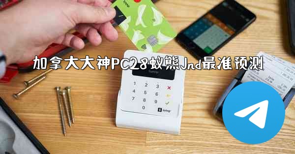 加拿大大神PC28蚁熊Jnd最准预测