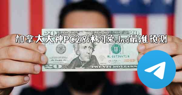 加拿大大神PC28冰河兔Jnd最准预测
