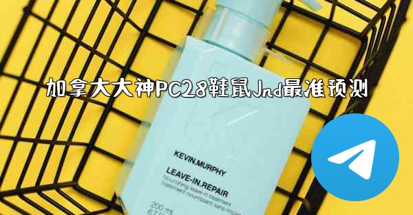 加拿大大神PC28鞋鼠Jnd最准预测