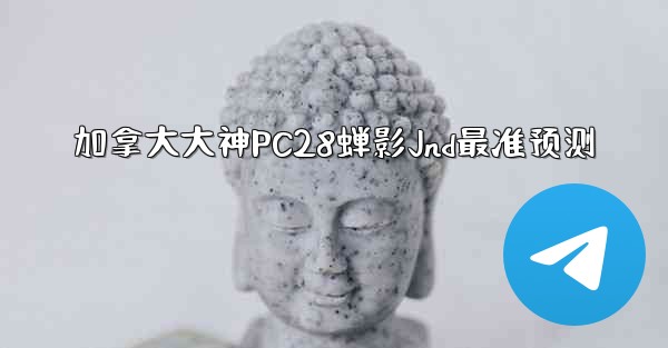 加拿大大神PC28蝉影Jnd最准预测