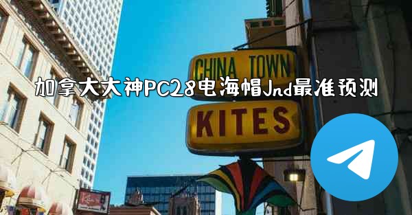 加拿大大神PC28电海帽Jnd最准预测