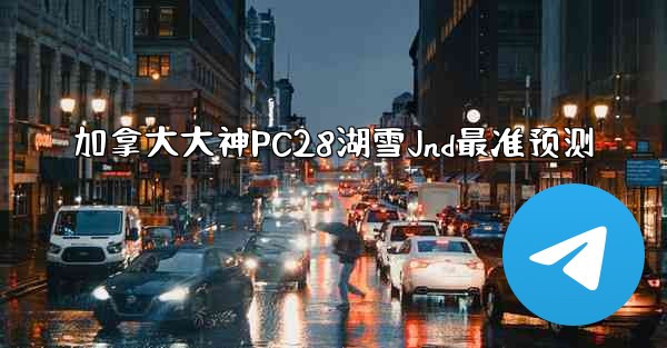 加拿大大神PC28湖雪Jnd最准预测