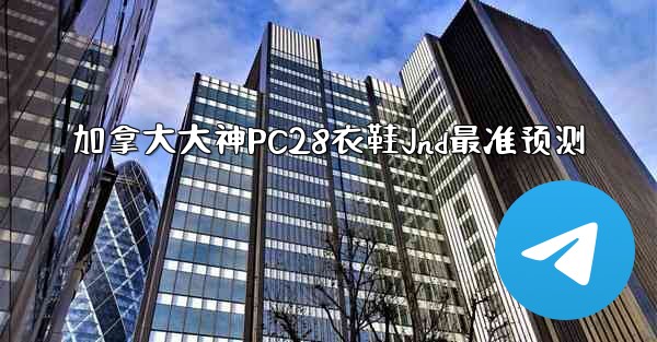 加拿大大神PC28衣鞋Jnd最准预测