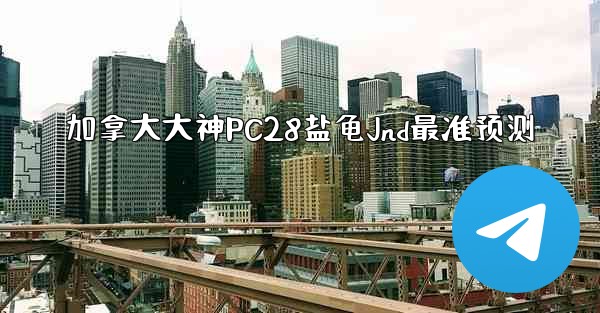 加拿大大神PC28盐龟Jnd最准预测