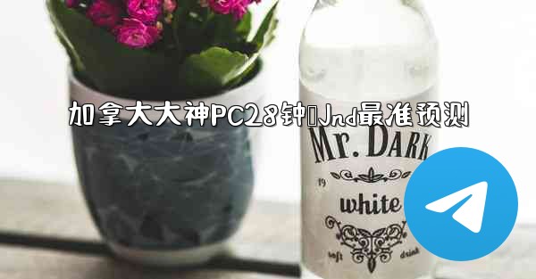 加拿大大神PC28钟鹅Jnd最准预测