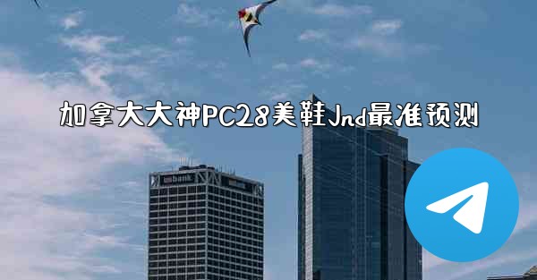 加拿大大神PC28美鞋Jnd最准预测