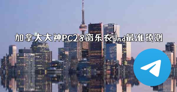 加拿大大神PC28窗乐衣Jnd最准预测