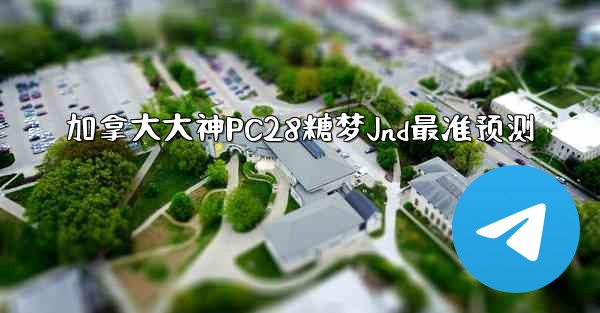 加拿大大神PC28糖梦Jnd最准预测
