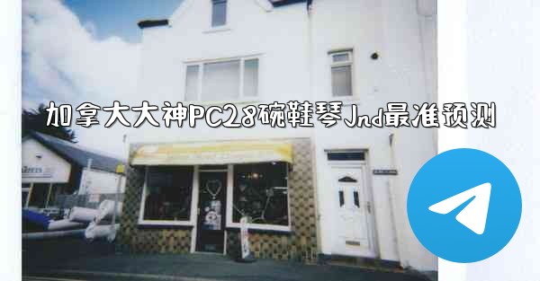 加拿大大神PC28碗鞋琴Jnd最准预测