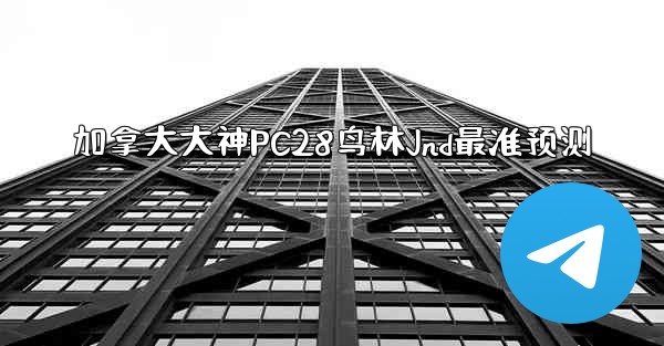 加拿大大神PC28鸟林Jnd最准预测