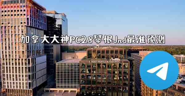 加拿大大神PC28琴恨Jnd最准预测