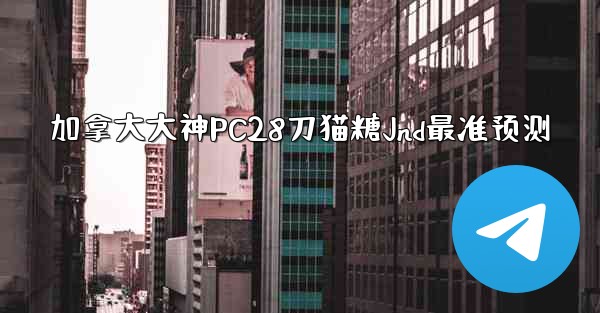 加拿大大神PC28刀猫糖Jnd最准预测