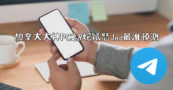 加拿大大神PC28蛇鼠怒Jnd最准预测